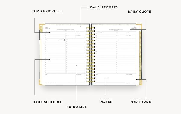 2024 Daily Planner: Classic Dot | Day Designer