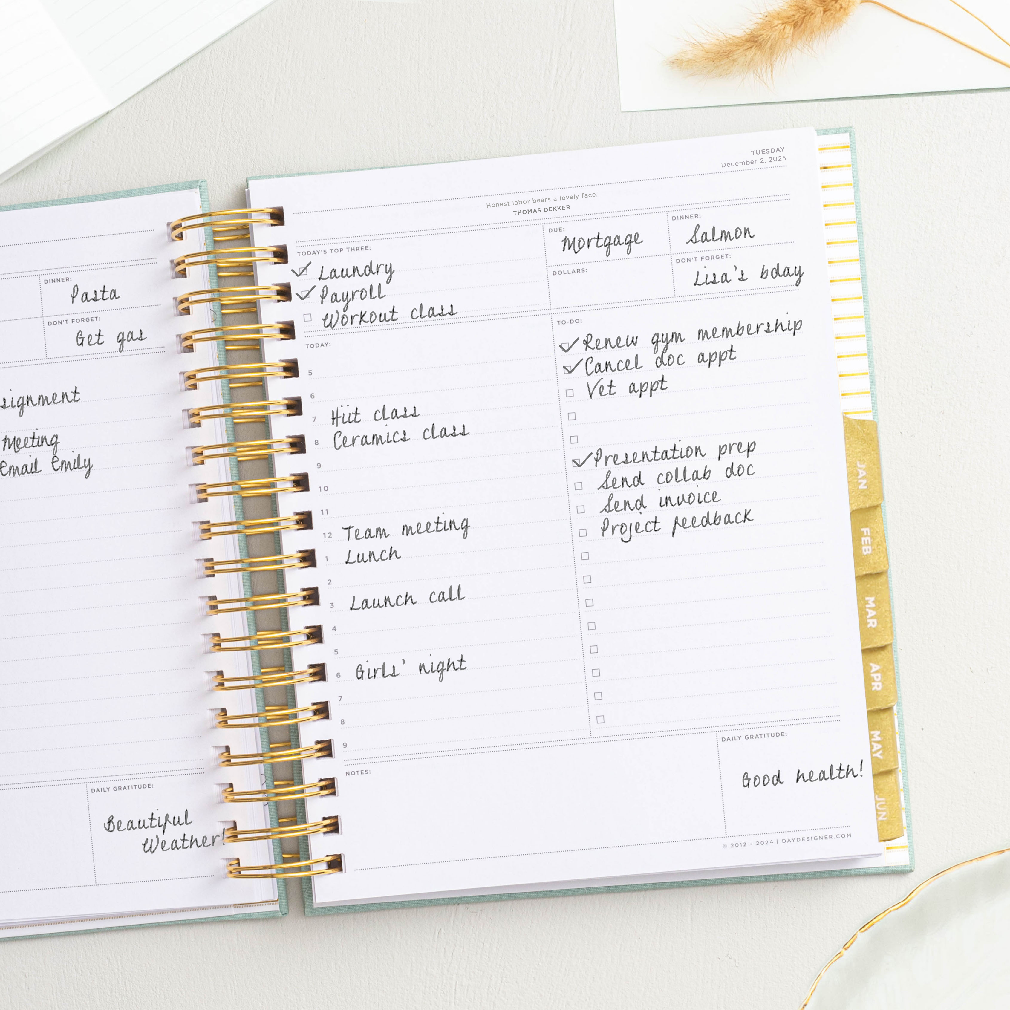 2025-26 Daily Planner: Sage Bookcloth
