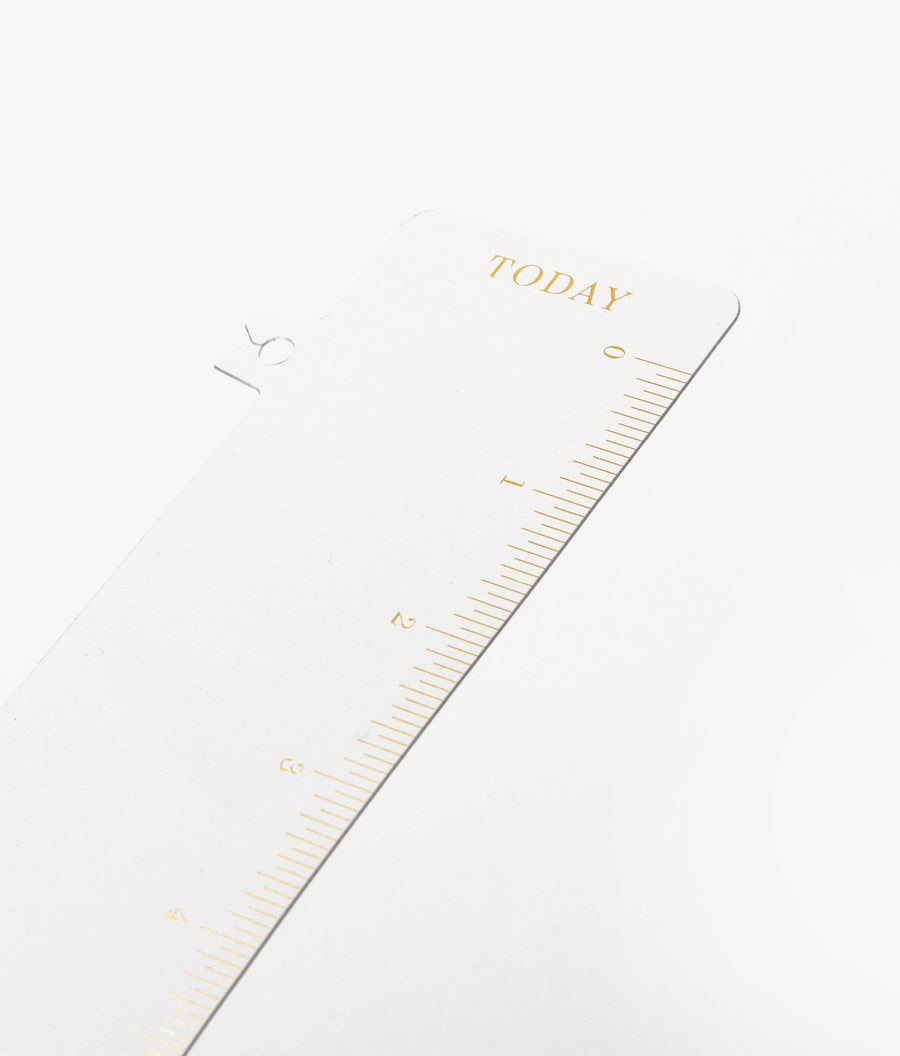 clear snap-in clear plastic ruler with gold type for planners
