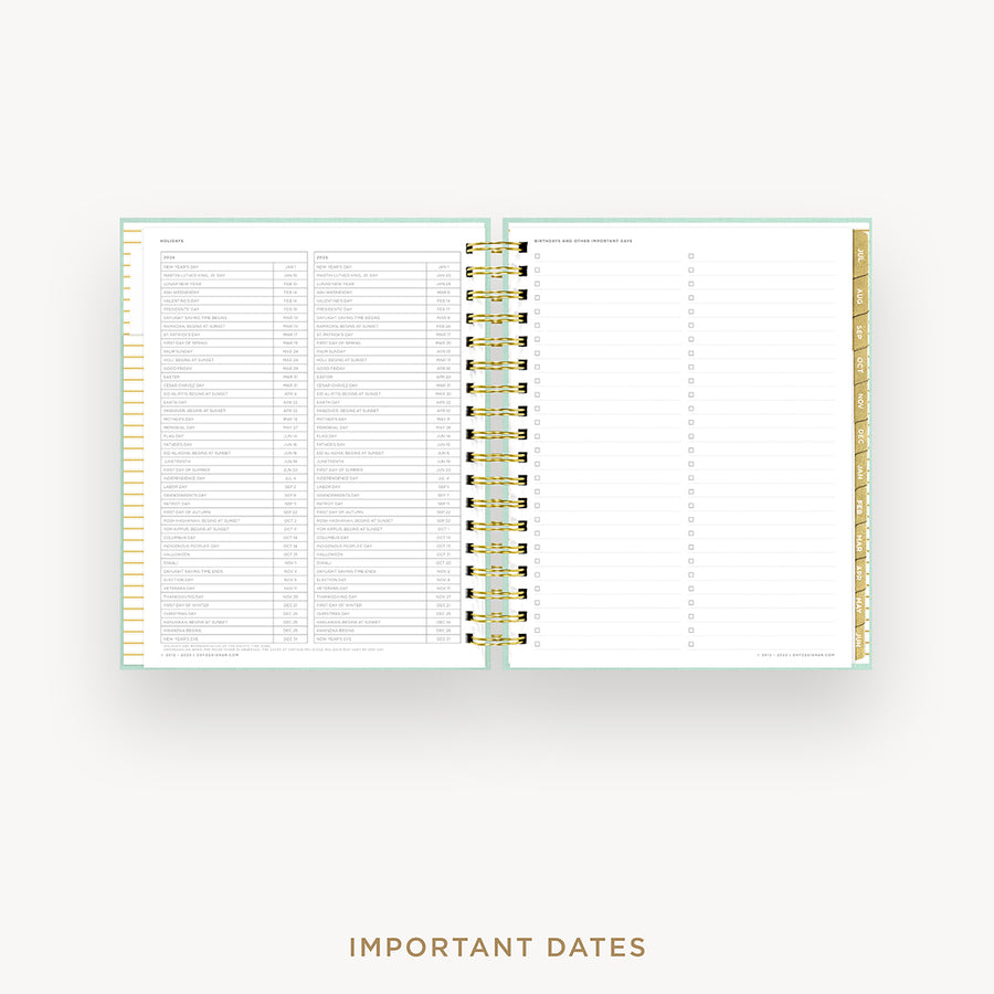 Day Designer 2024-25 daily planner: Sage Bookcloth cover with holidays