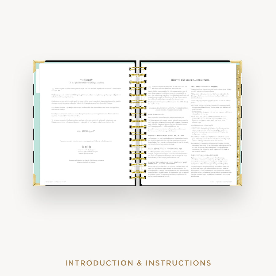 Day Designer 2026 daily planner: black stripe cover with introduction and how to guide