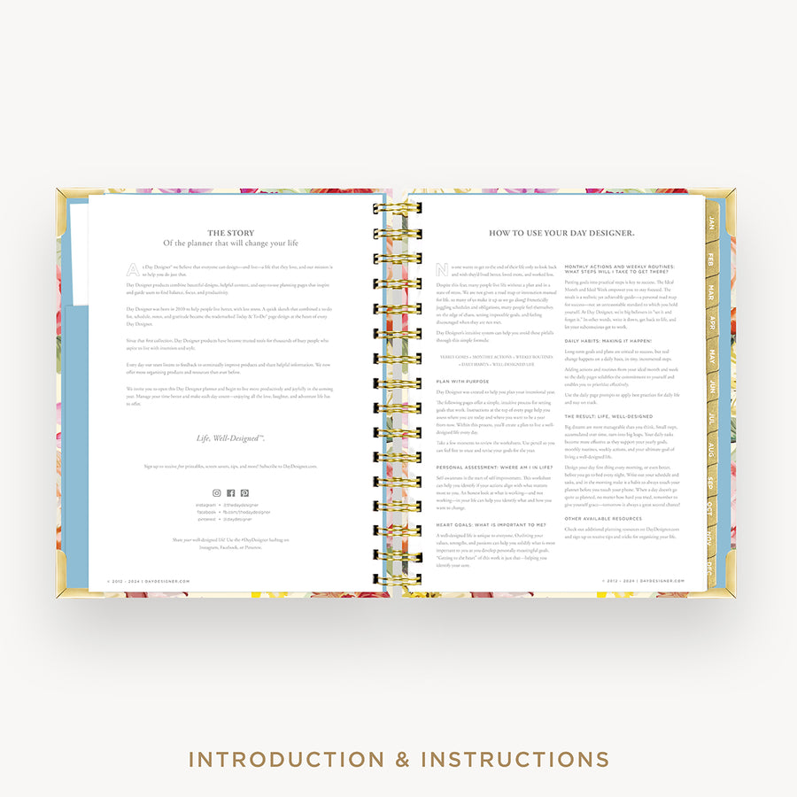Day Designer 2026 mini daily planner: oh so lovely cover with introduction