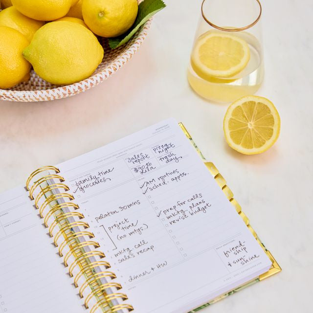 2027 Mini Daily Planner: Lemon Floral