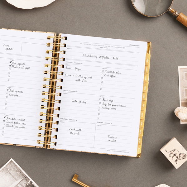 2025 Day Designer Planner