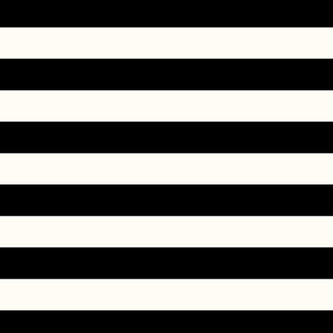 Lined Notebook: Black Stripe