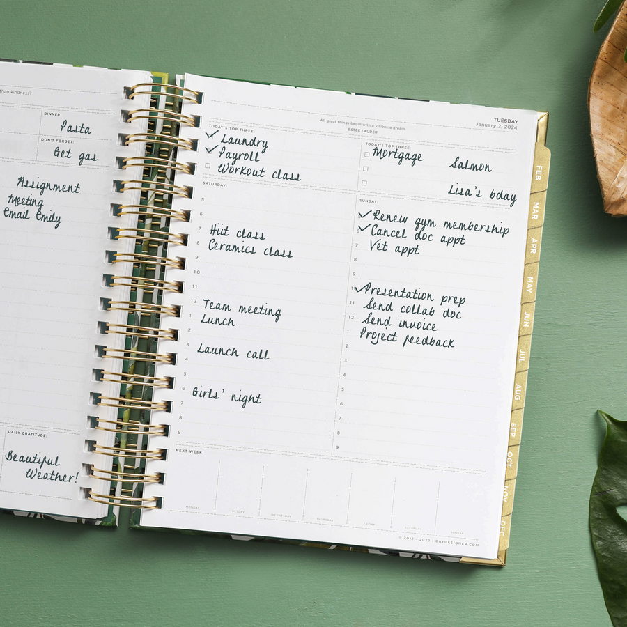 daily planner, open book, written on pages, gold binding and tabs, green background, palm leaf, brown dish