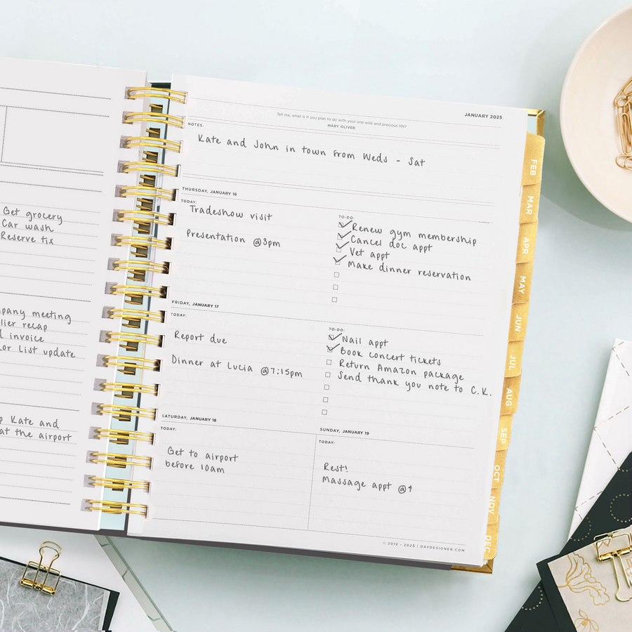 Day Designer 2025 weekly planner: Black Stripe opened with writing on it