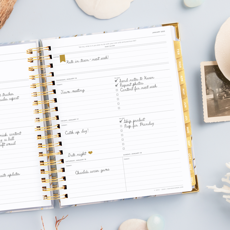 2025 Day Designer Planner