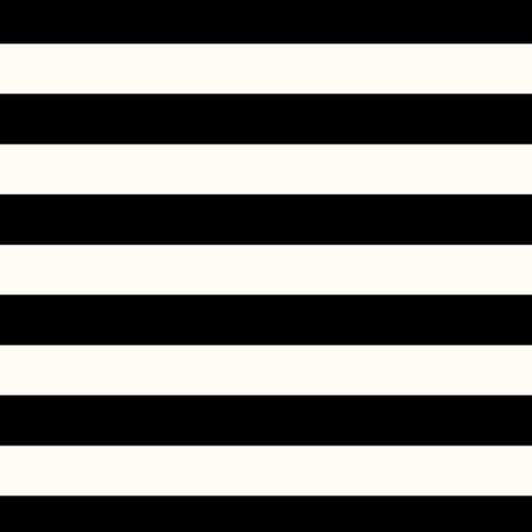 2024-25 Daily Planner: Black Stripe