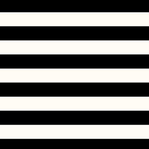 2025-26 Mini Weekly Planner: Black Stripe