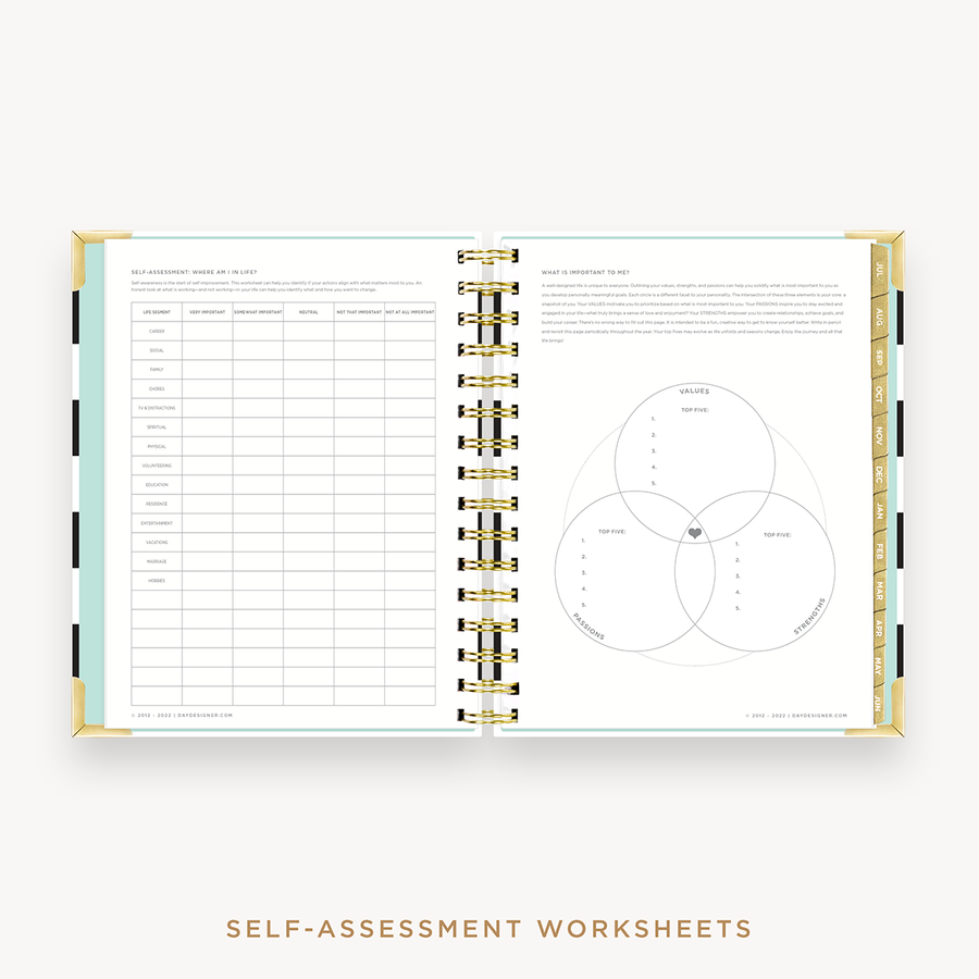 Day Designer's 2023 Daily Mini Planner Black Stripe with self-assessment and values worksheet.