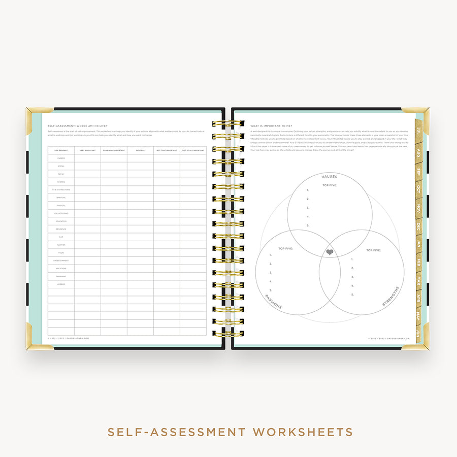 Day Designer's 2023 Daily Planner Black Stripe with self-assessment and values worksheet.