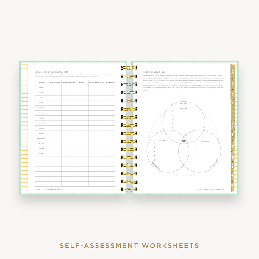 Day Designer's 2023 Daily Mini Planner Sage Bookcloth with self-assessment and values worksheet.